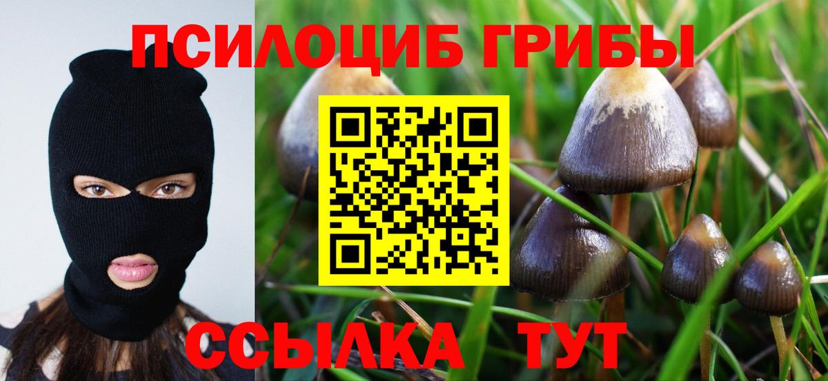 Псилоцибиновые грибы ЛСД  Вход с VPN  Симферополь 